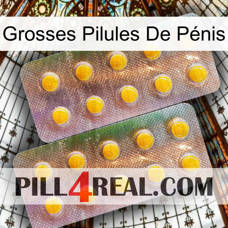 Grosses Pilules De Pénis new10